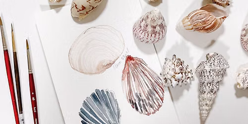 Summer Shells in Watercolor