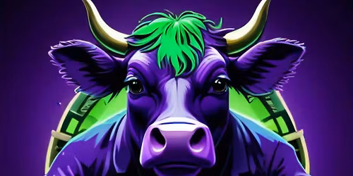 Cash Cows Poker Room at Belvoir Winery