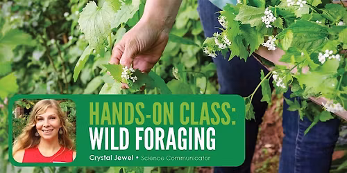 HANDS-ON CLASS: Wild Foraging