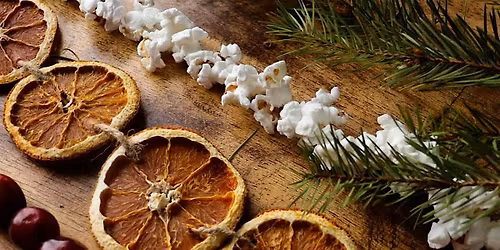 Dried Orange Garland and Simmer Pot Kit