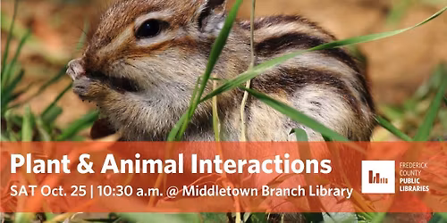 Wildlife Talk: Plant & Animal Interactions