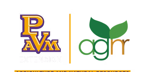 From Seed To Market - Growing Creating and Connecting to Market