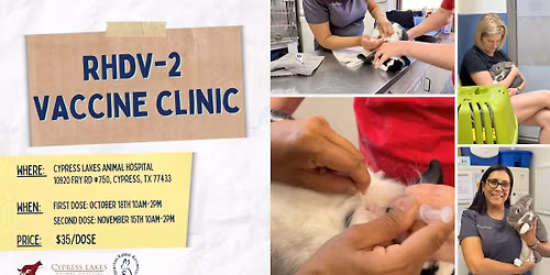 RHDV-2 Low-cost vaccine clinic