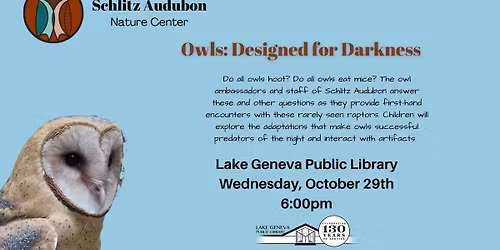 Owls: Designed for Darkness