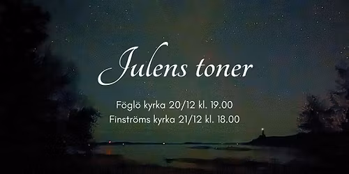 JULENS TONER