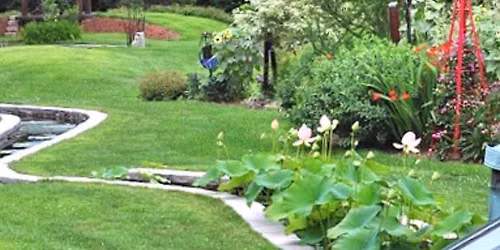 Jill Nooney, Bedrock Gardens