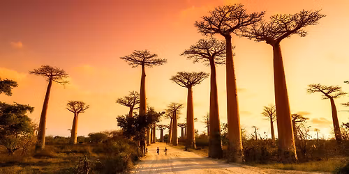 Potopisno predavanje: MADAGASKAR z Ajdo \u0160ter