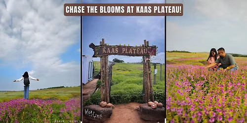 Kaas Trip with Sajjangad & Thoseghar Waterfall (2 Days\/1 Night)