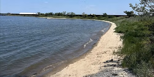 East Pond Shoreline Cleanup at the Jamaica Bay Wildlife Refuge