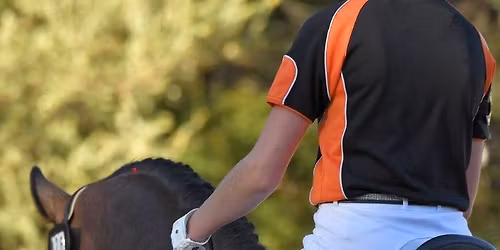 Midland Zone Dressage and Showjumping Championships 