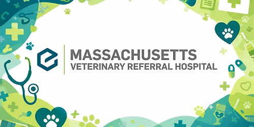 Ophthalmology CE Event at Mass Vet!