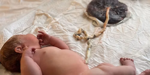 Newborn Care Basics: Confidently Caring for Your Baby