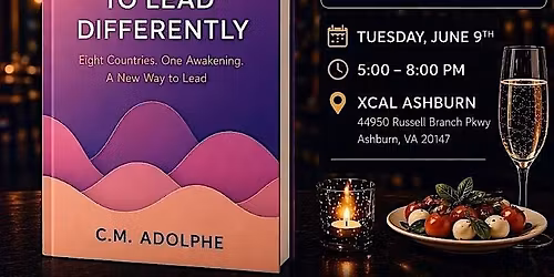 Permission to Lead Differently: An Executive Mix & Mingle + Meet the Author