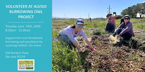 Volunteer Outdoors in Alviso at the Burrowing Owl Project (18+)