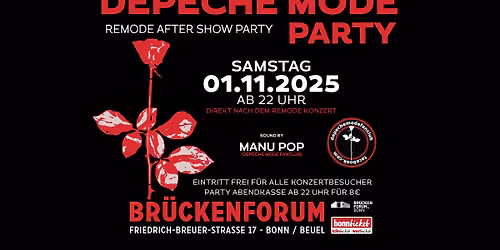 Depeche Mode : REMODE After Show : Party