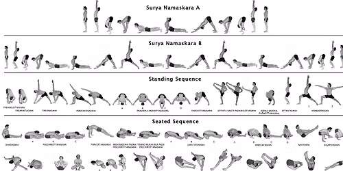 Ashtanga - Full Primary Series