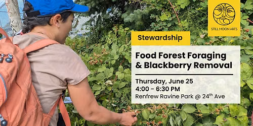 Food Forest Foraging & Blackberry Removal