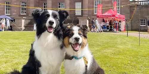 A Dog's Day Out at Paxton House with Borders Pet Rescue