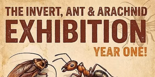 The Invert, Ant & Arachnid Exhibition — Stoke-upon-Trent