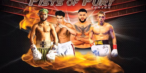 Fists of Fury Series