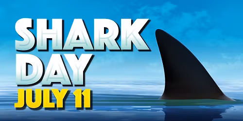 Shark Day