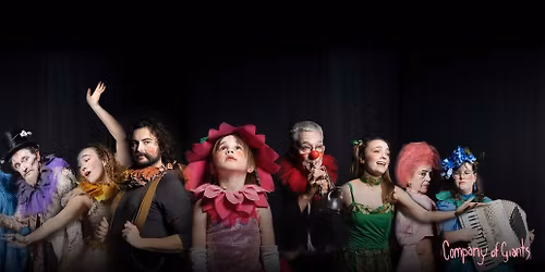 A Vaudeville of Flowers