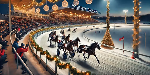 F\u00f8rjulsmagi p\u00e5 Momarken - V65