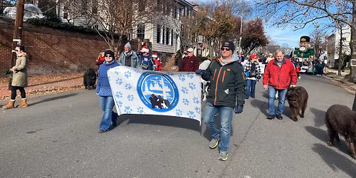Walk with the Newfs! 54th Annual Alexandria Scottish Christmas Walk Parade