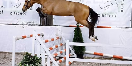 Vrijspringen Oirschot