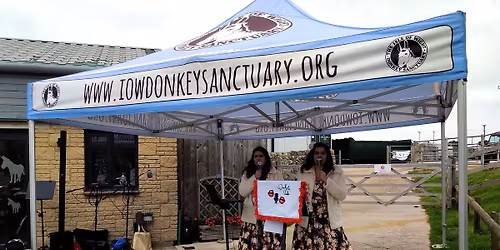 Wightrider Weekend at the Isle Of Wight Donkey Sanctuary