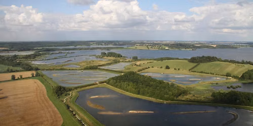 Exclusive Members' Event at Rutland Water Nature Reserve - Morning Session