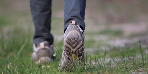 9 Day Cape Camino: Cape Town Peninsula