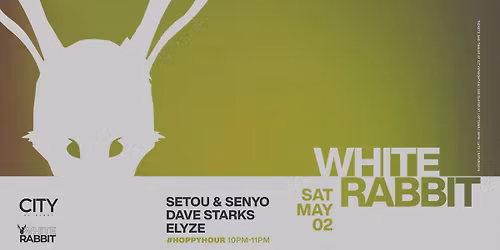 White Rabbit: SETOU & SENYO, DAVE STARKS, ELYZE