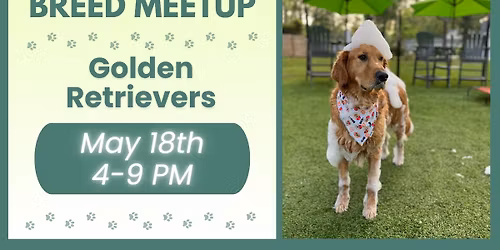 \ud83d\udc3e\ud83d\udc9b Breed Meetup: Golden Retrievers at The Broken Leash 
