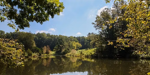 District Hike #212 - Annie Louise Wilkerson Nature Preserve