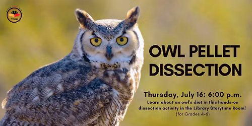 Owl Pellet Dissection