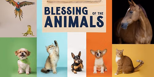 Blessing of the Animals Service