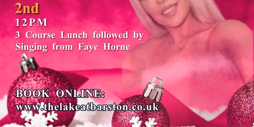 Christmas Lunch & Show with Faye Horne