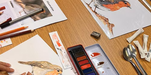 Robin Drawing Workshop