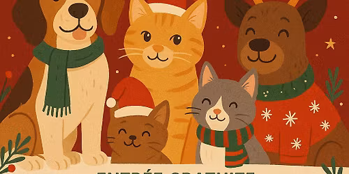 5\u00e8me PETIT MARCH\u00c9 DE NO\u00cbL