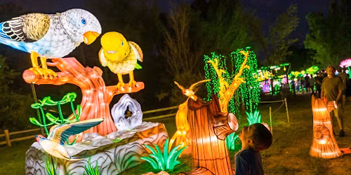 Asian Lantern Festival & Hollerback's German Restaurant 12\/14\/25