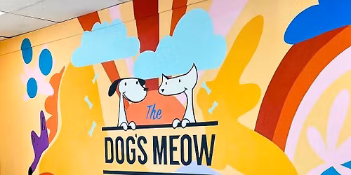 Pet Psychic Readings at The Dog\u2019s Meow