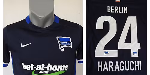 Dynamo Dresden vs Hertha BSC Tickets