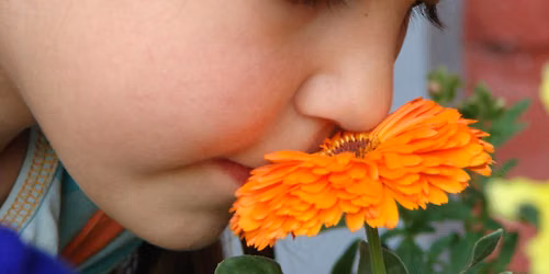 Fine-Tuning Your Clairalience and Clairgustance with Judy Winfrey
