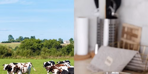 Atelier Pratique \u00ab Fromage & Co \u00bb \u2013 Cycle \u00ab Explorer la fili\u00e8re lait et fromage \u00bb