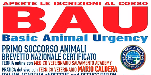 Primo Soccorso Animali Brevetto Nazionale Certificato con Mario Caldera By Salvamento Academy