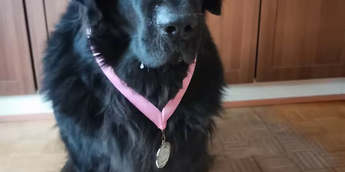 Rallytokokilpailu - Kangasala