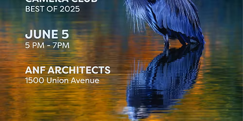 Memphis Camera Club: Best of 2025