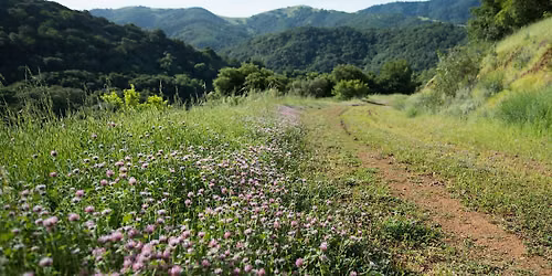 Hike at Rancho Ca\u00f1ada del Oro
