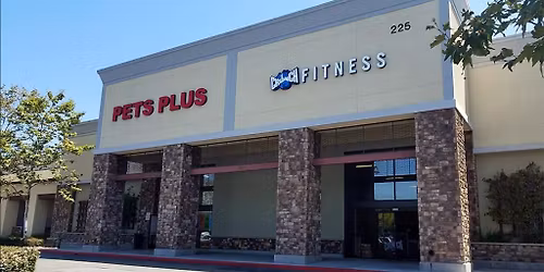 Vista - Dog dental cleaning